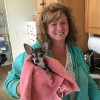 Reigning Cats & Dogs Pet Resort