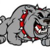 Bull Dog Complete Home Inspections