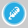 Taylor Robinson Music & Voice Lessons