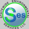 Statewide Environmental Services