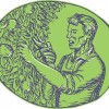 South Denver Tree Service