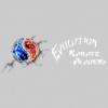 Evolution Karate Academy