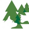 Forest Heights Veterinary Clinic