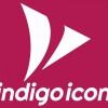 Indigo Icon