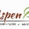 Aspen Wellness Chiropractic