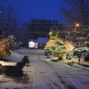 Maple Terrace Motel