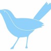 Blue Sparrow Pilates
