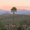 Estates Tree Service