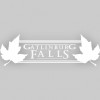 Gatlinburg Falls Resort