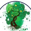 Holistic Healing Therapy
