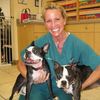 Bayshore Animal Hospital