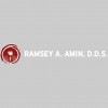 Ramsey A Amin, DDS