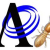 Affordable Termite & Pest Control