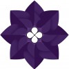 Black Lotus Yoga