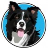 Finley's Friends Pet Care