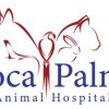 Boca Palms Animal Hospital