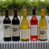Hafner Vineyard