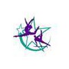Rising Stars Gymnastics Academy