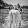 Rowdy Ranch