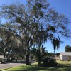 Hoptons Tree Service