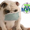 Midway Veterinary Hospital & Kennels