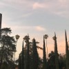 Redlands Community Music Assn
