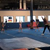 Euro Stars Gymnastics