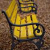 Golden Benchmark Insurance Services
