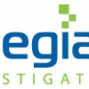 Allegiant Investigations