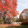 Childers Photography