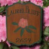 Cabins At Laurel Bluff