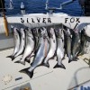 Silver Fox Charters