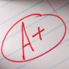 Elementary Tutor Serving NYC