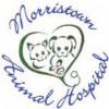 Morristown Animal Hospital