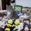 Prairie Animal Hospital SC