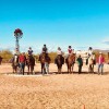 Majestic Sport Horses