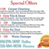 Rug Cleaning Service