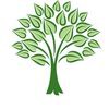 Cypress Public Accounting