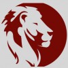 Pride Gymnastics Academy