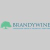 Brandywine Insurance Group