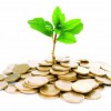 Life Asset