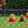 AVP Fence
