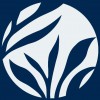 Blue Meadow Properties
