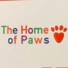 The Home Of Paws