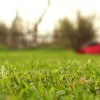 Cabreras Gardening Services