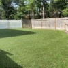 South Paws Doggie Day Care