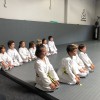 Practical Karate