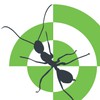 All Seasons Pest Control
