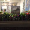 Gallery Jupiter