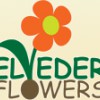 Belvedere Flowers